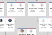 family tree